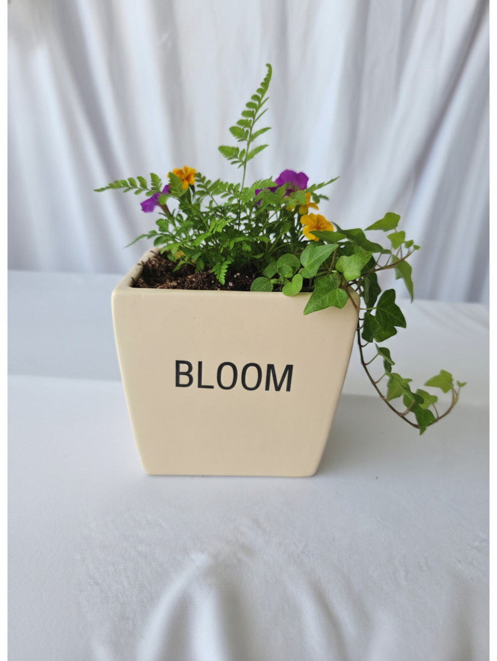 Square Ceramic Flower Pot Planter with 'BLOOM' Text